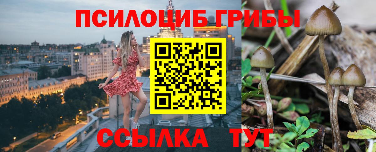 Псилоцибиновые грибы ЛСД  Галлюциногенные грибы Psilocybe  Вход с VPN  Нерюнгри 