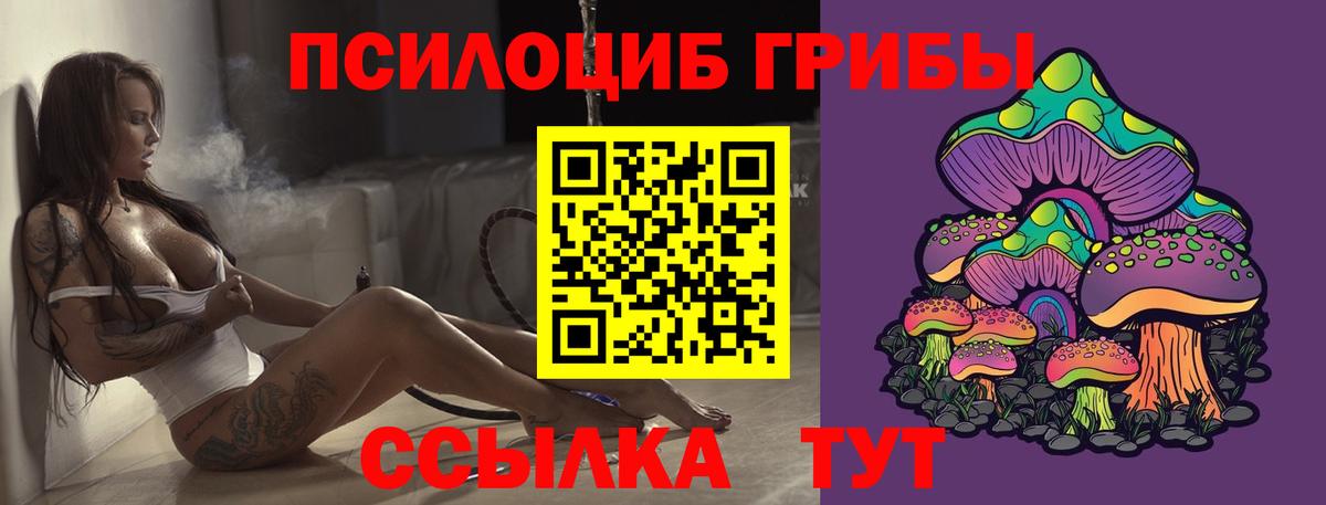 Псилоцибиновые грибы Cubensis Нерюнгри